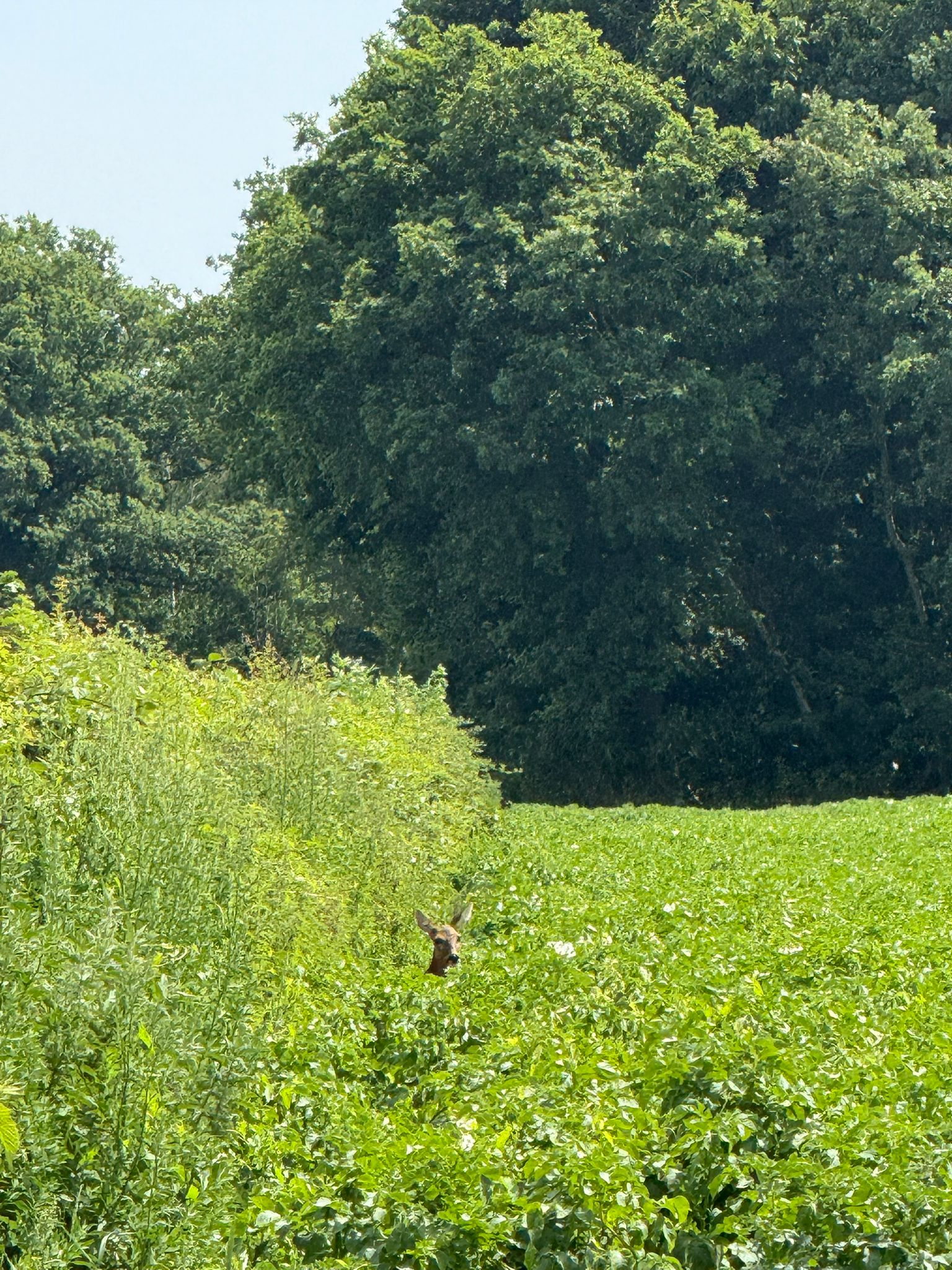 81de9201 1200 4c10 9f14 30fb069fa76b