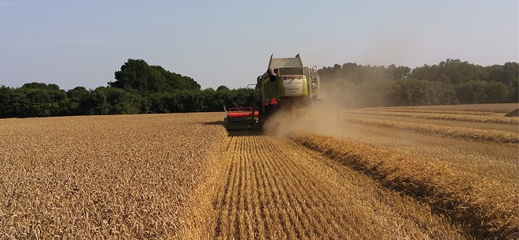 Grondstoffenmarkt-update-ABZ-augustus-2019
